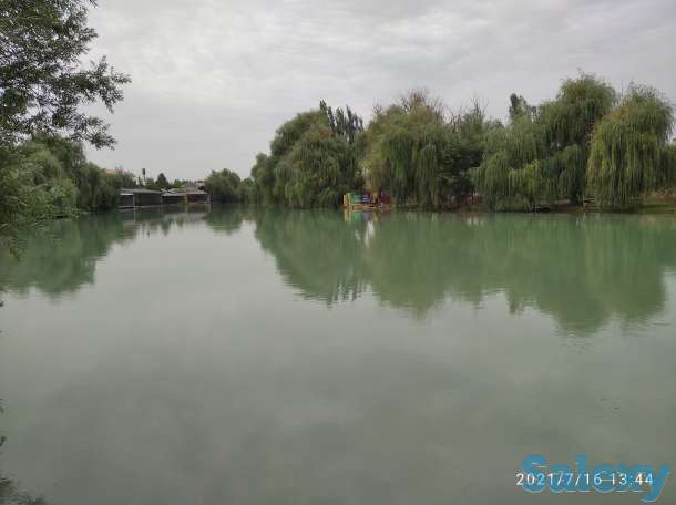 Коттедж практически в Ташкенте, Ташгрэс, фотография 6