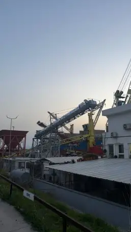 Радиальный конвейер Автоматический Телескопический PTRC1000, 1000 тчас, PolygonMach Турция, фотография 8