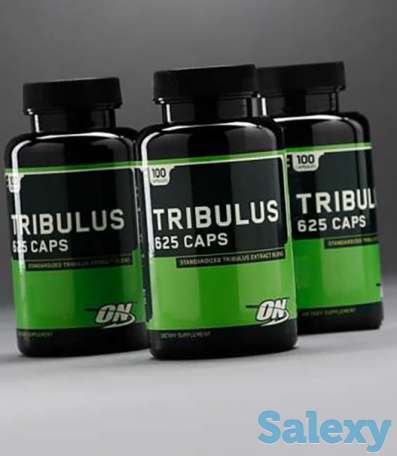 Tribulus от Optimum Nutrition (трибулус 100 капсул), фотография 1