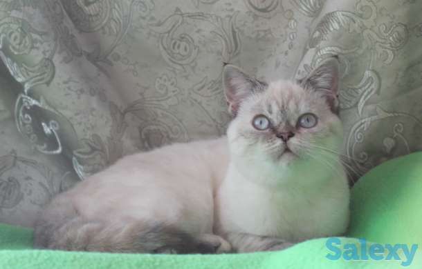 Нежное облако, фотография 2