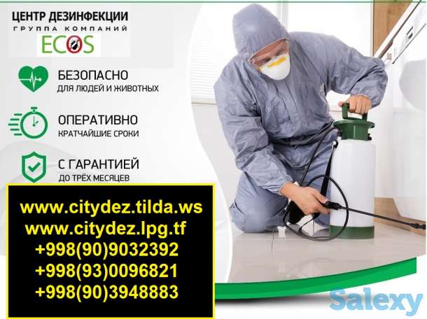 Компания 