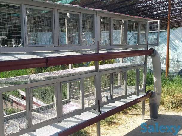 Продаем комбикорм, кроликов и мясо кролика, фотография 3