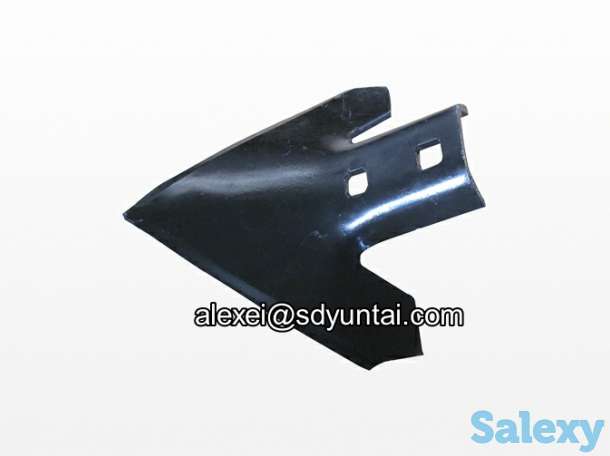 Лапа стрельчатая, фотография 1