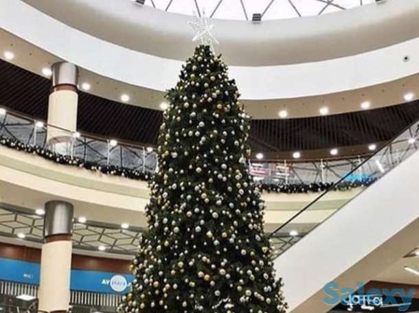 Елки 1 м - 25 м, фотография 1