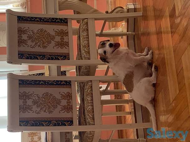 Ищем невесту, фотография 1