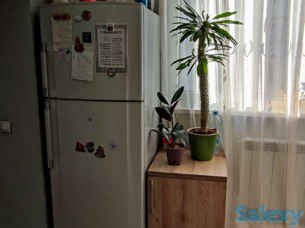 Продам квартиру Ц1 2/4/4 77-серия, фотография 2