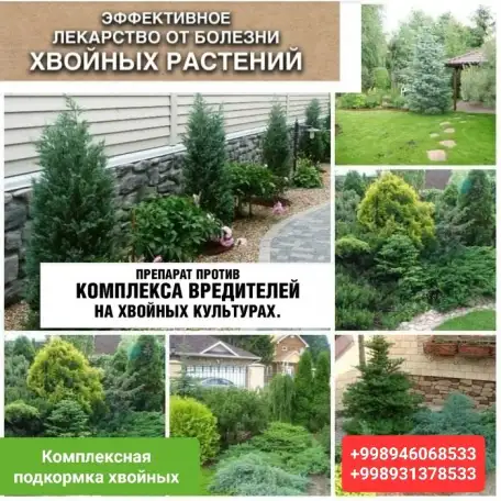 Комплексный уход за газоном и Хвойными, фотография 9