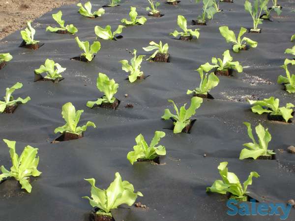 Оборудование, линии производства S, SS, SMS нетканого полотна спанбонд Контракт с заводом-изготовителем, без посредников, фотография 4