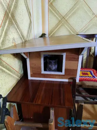Здравствуйте  хочу  предложить вам домики для кошек. Изготовление и доставка  домиков для кошек любых размеров и форм. У, фотография 3