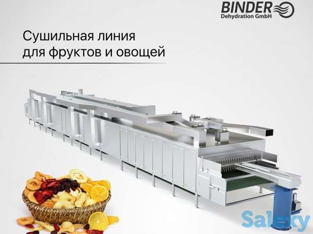 Технология для сушки фруктов и овощей, фотография 1