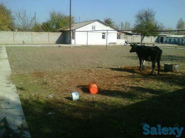 Продам участок 17 соток в Зангиотинском районе, Зангиотинский район поселок Богзор, фотография 11