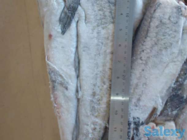 Замороженная рыба оптом минтай, горбуша, навага, сельдь ДЕШЕВО, фотография 1