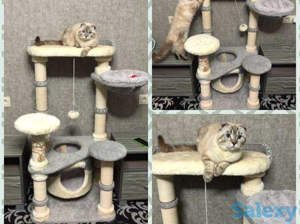 Когтеточка для кошки. Игровой комплекс для кошки. Дом для кошки., фотография 2