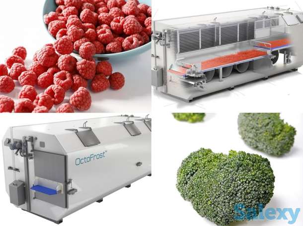 Шоковая заморозка фруктов и овощей, фотография 1