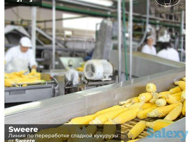 Линия по переработке сладкой кукурузы от Sweere, фотография 1