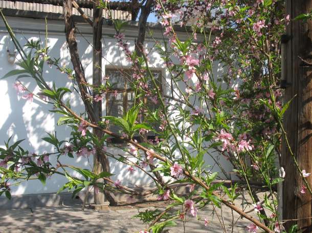 Продается дом, фотография 1