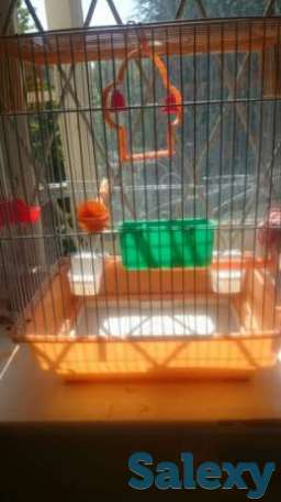 Клетка для попугая, фотография 1