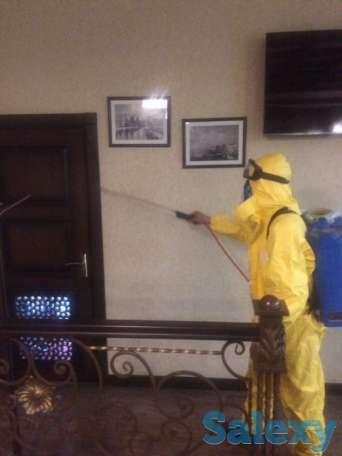 Дезинфекция от насекомых, фотография 9