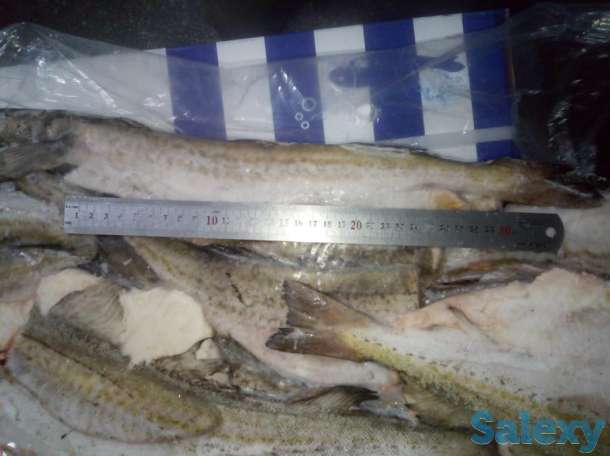 Замороженная рыба оптом минтай, горбуша, навага, сельдь ДЕШЕВО, фотография 5