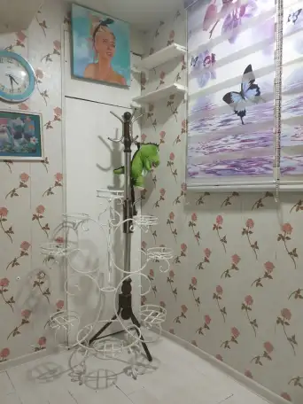 Продаю, Тузель 2, фотография 11