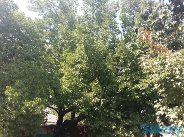 Продам дом с участком в ташкенте, срочно!, байсунская ул., д.7, фотография 5