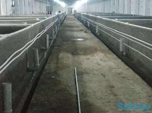 Продаётся рыбное хозяйство, готовый бизнес., фотография 1