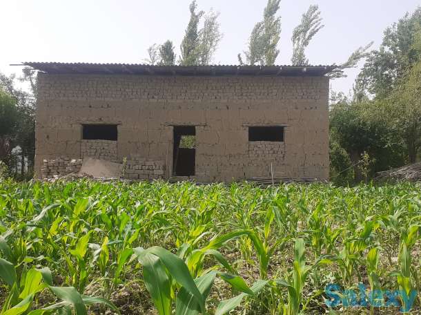 Поминяю,  тортувли М,ф,й, фотография 1