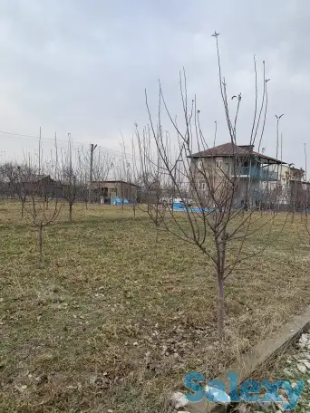 ПРОДАЁТСЯ ДАЧА!, область. Нурафшон(Бывшая туйтепа) Дачи Акмаль Икром, фотография 12