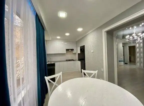 234 на длительный срок люкс Ц-1 центр города, фотография 1