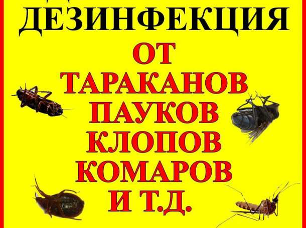 Уничтожение(Дезинфекция) Клопов,Тараканов,Блох,Комаров и Т.Д с Гарантией, фотография 1