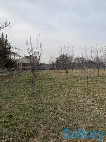 ПРОДАЁТСЯ ДАЧА!, область. Нурафшон(Бывшая туйтепа) Дачи Акмаль Икром, фотография 10