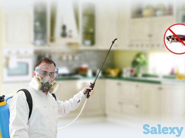 Дезинфекция от клопов и насекомых! Гарантия и Скидки!, фотография 5