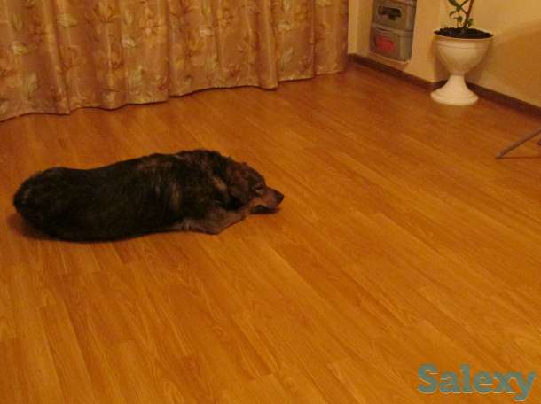 Срочно, недорого продам 2-комнатную квартиру, фотография 2