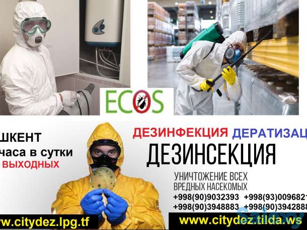Компания 