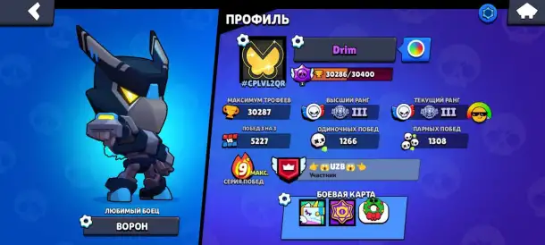 Bravl Stars акаунт, фотография 7