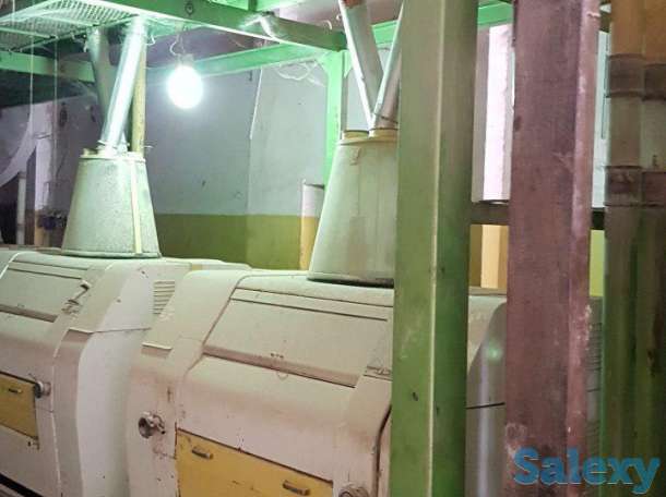 продаю мукамолку, фотография 1