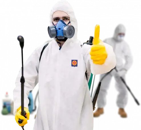 Услуги Дезинфекция, фотография 5