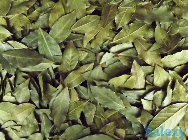 Лавровый лист и специи, фотография 1