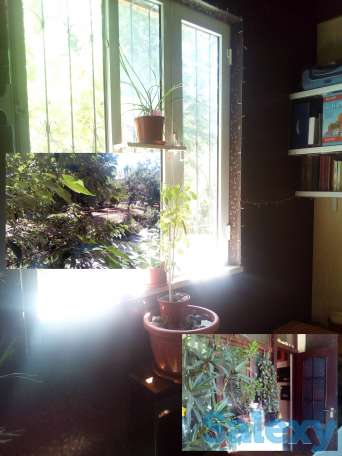 Своя 2/2/4 Ялангач, фотография 5