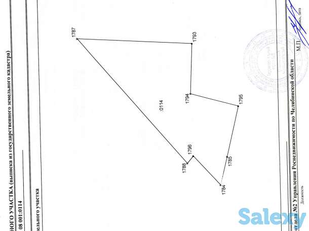 Земля с/х назначения в Челябинской области Россия продам или в аренду., фотография 3