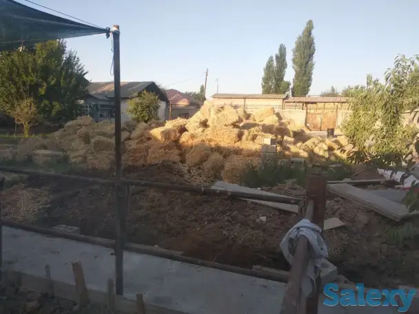 Продажа Ферма Дача, ТашОбл Юкори Чирчик Янги Бозор дахаси, фотография 5