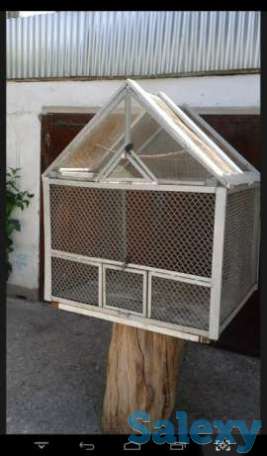 Клетка, фотография 1