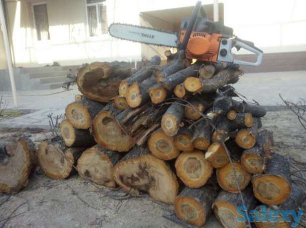 Обрезка и лесоповал, фотография 1