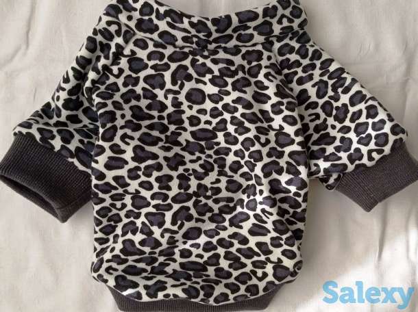 Кофточка (для мопсов), фотография 2