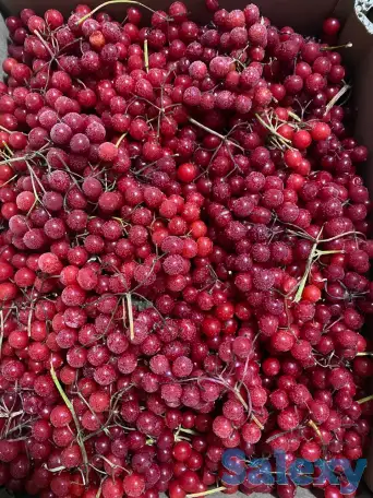 Замороженные ягоды и фрукты от производителя, фотография 7