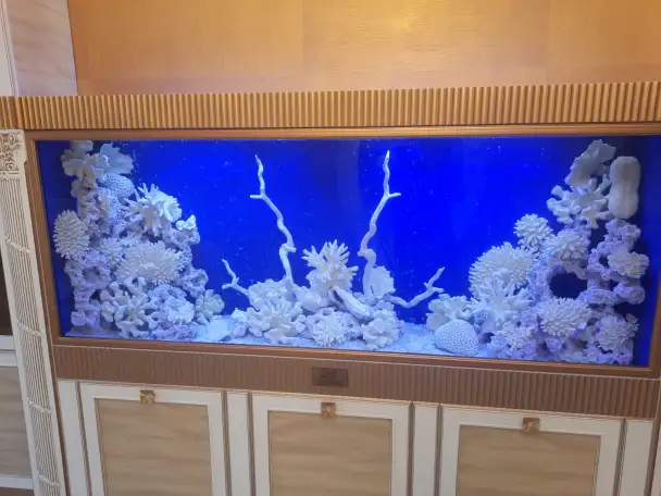 Чистка и обслуживание пресноводных и морских  аквариумов, фотография 4