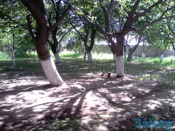 продам дом в городе Алмалык, Пскентский, Пскентский, фотография 7