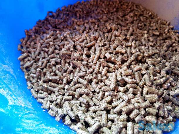 Пресс-гранулятор кормовой до 1500 кг/ч, фотография 2