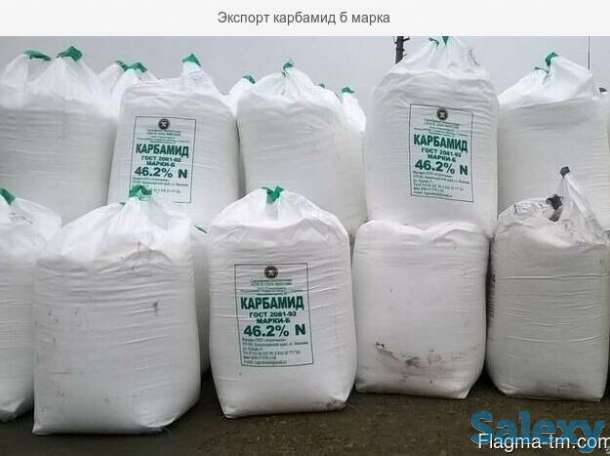 Предложение, фотография 2