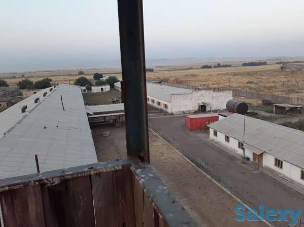 Срочно ! Продается ферма в Ахангарнаском районе, фотография 3